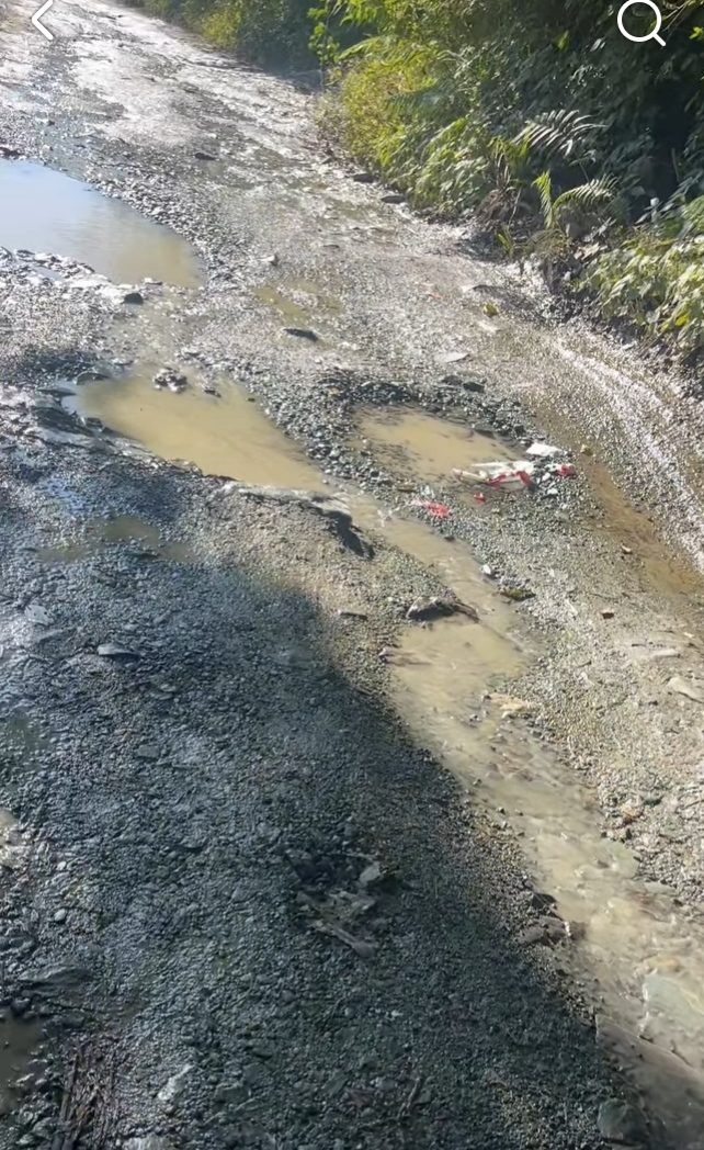 चकराता के टाइगरफॉल की बदहाल सड़क से पर्यटक परेशान, PWD विभाग की कार्यप्रणाली पर उठे सवाल